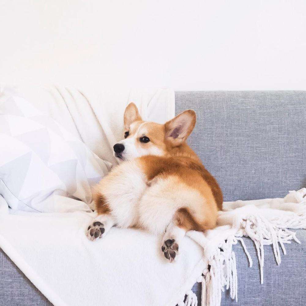 yl23455����(�й�)���޹�˾����